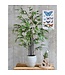 Mica Decorations Bamboe Kunstplant - H120 x Ø75 cm - Groen