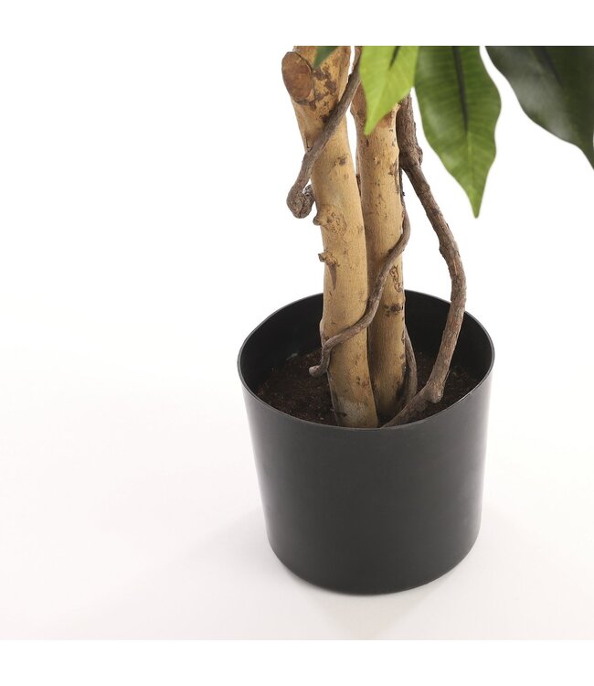 Mica Decorations Ficus Kunstplant - H110 x Ø65 cm - Groen