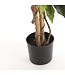 Mica Decorations Ficus Kunstplant - H110 x Ø65 cm - Groen