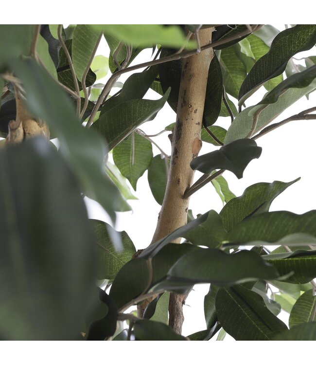 Mica Decorations Ficus Kunstplant - H110 x Ø65 cm - Groen