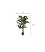 Mica Decorations Ficus Kunstplant - H110 x Ø65 cm - Groen