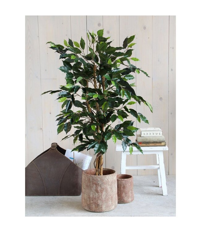 Mica Decorations Ficus Kunstplant - H110 x Ø65 cm - Groen