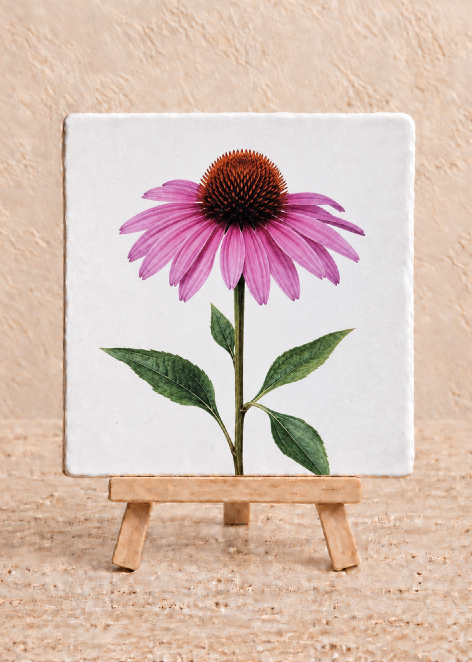 Tegel Quotes Zonnehoed op een tegel | Echinacea bloementegeltje