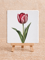 Tegel Quotes Rood-witte tulp tegeltje