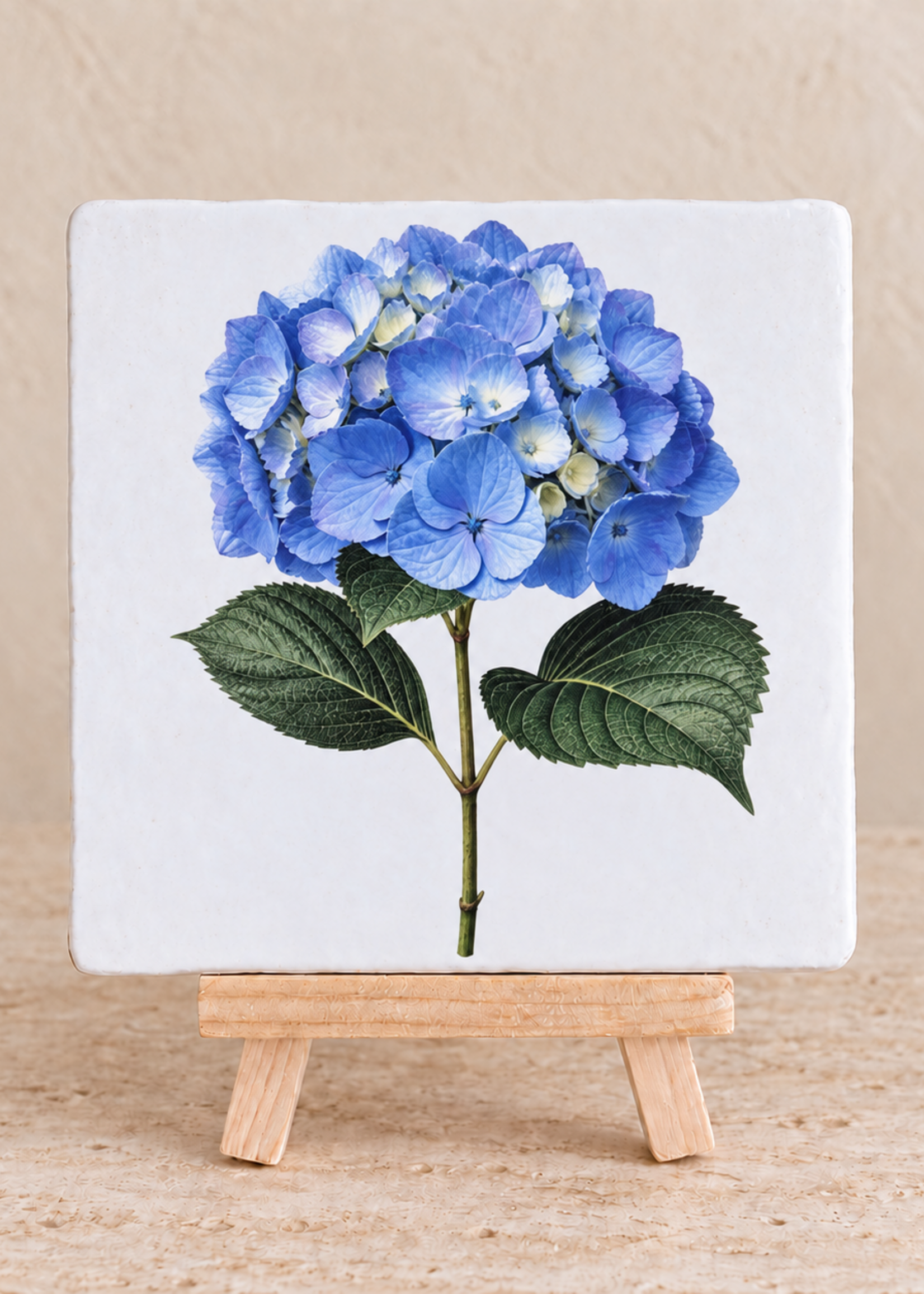 Tegel Quotes Blauwe hortensia op een tegel | Sfeervol bloementegeltje