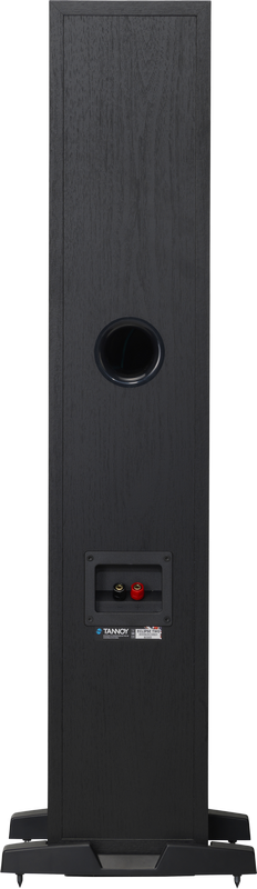 Tannoy ECLIPSE TWO HiFi Loudspeaker, foto 2 van 4