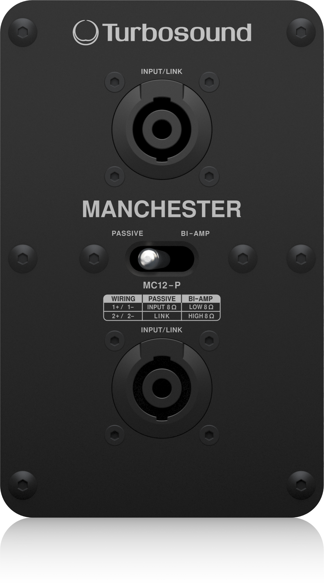 Turbosound Turbosound MC12-P - full range point source, foto 4 van 4