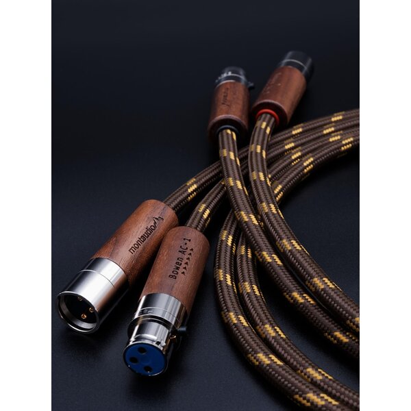 Montaudio BOWEN AC-1 - 2 METER XLR (PAIR)