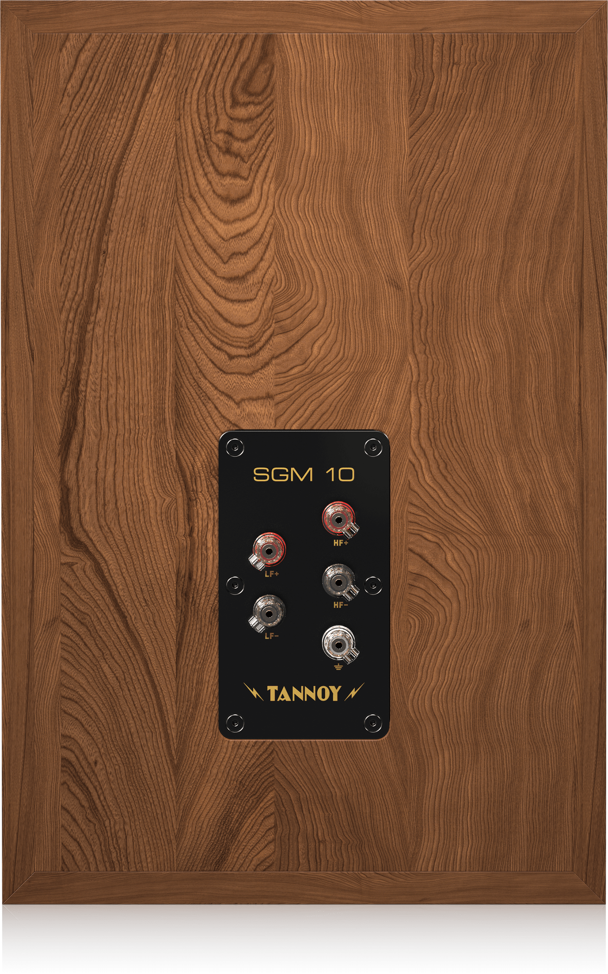 Tannoy SGM 10, foto 5 van 6