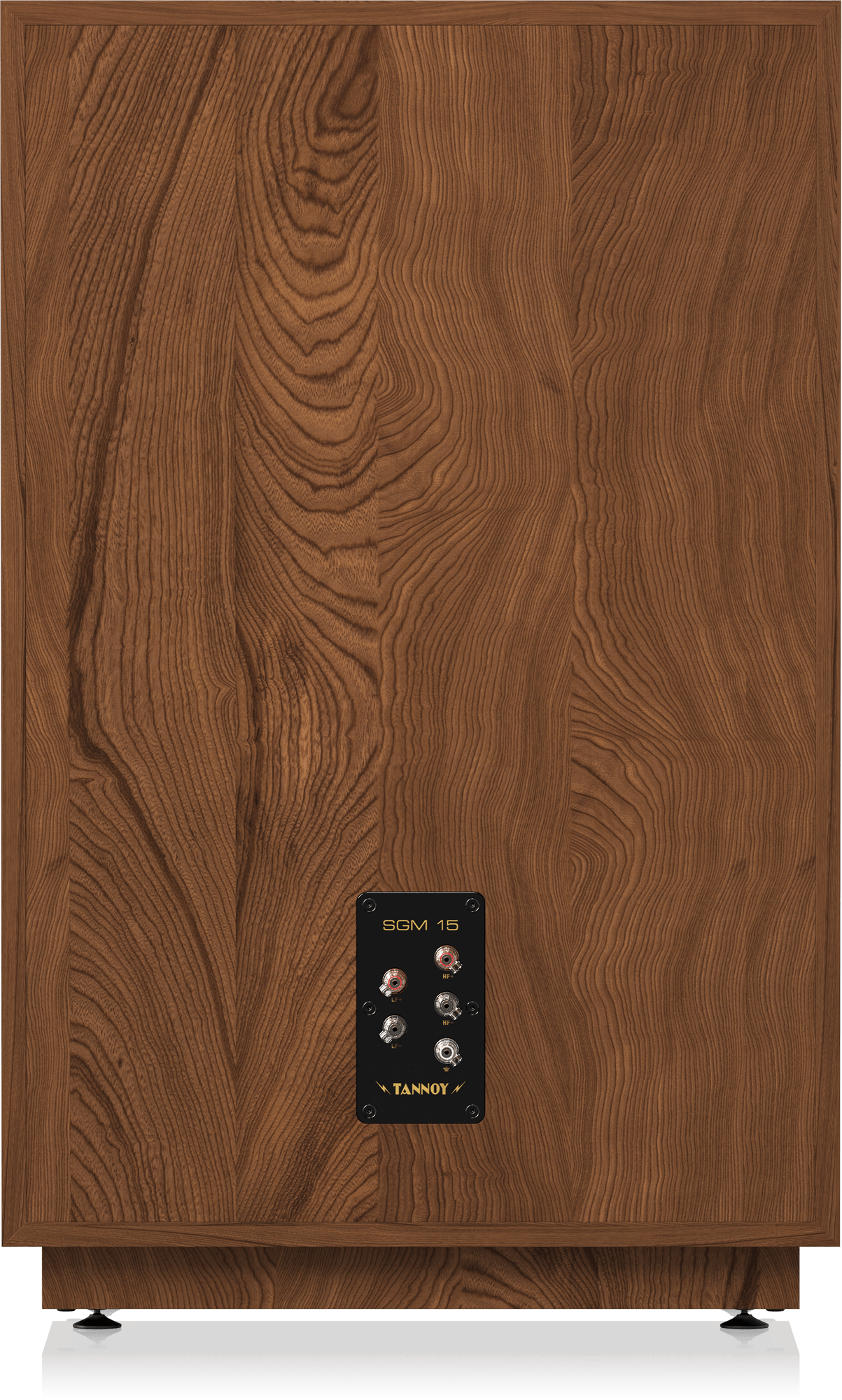 Tannoy SGM 15, foto 5 van 6