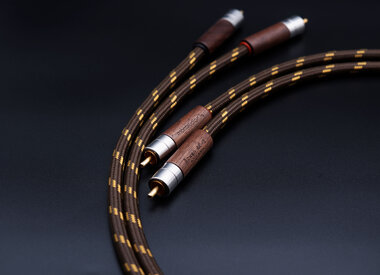 Analog Interconnects