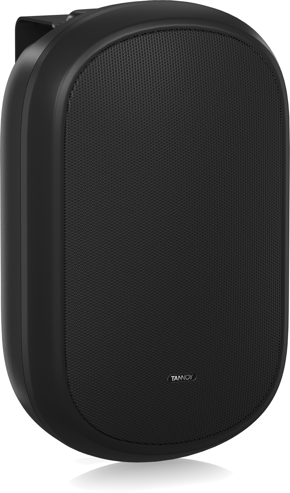 Tannoy DVS 401