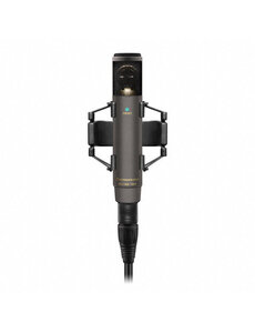 Sennheiser MKH 800 TWIN NX