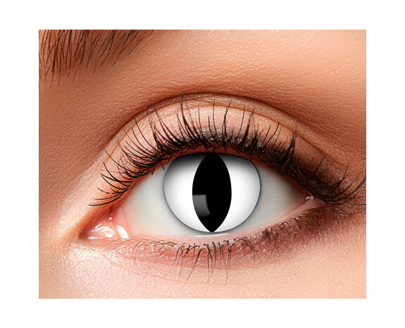 Lentilles de couleur yeux de chat - Partywinkel