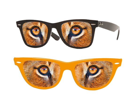 Gafas Hippie Naranja - Partywinkel