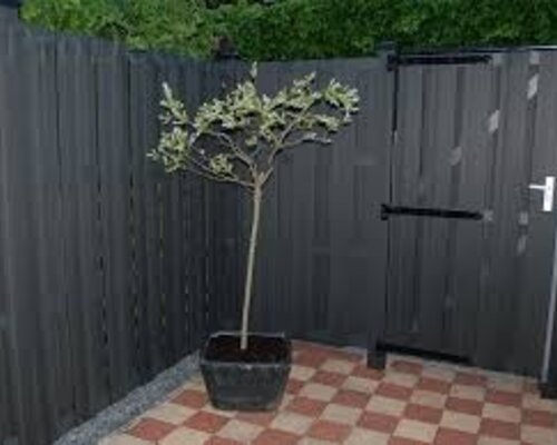 Hoe kies je het juiste deurbeslag? Onze tips!