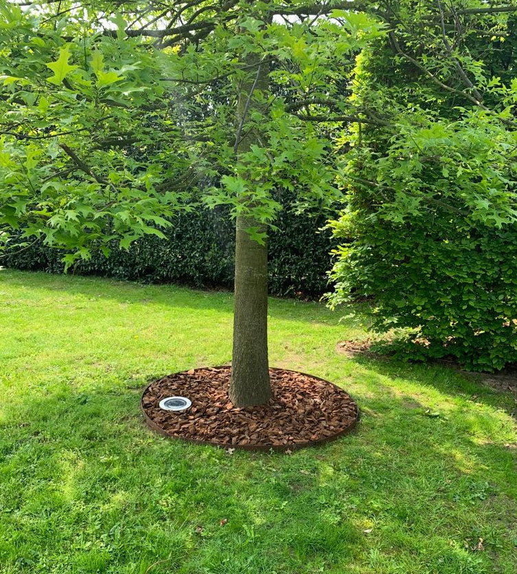 Boomring cortenstaal 75 cm diameter, 20 cm hoog - kantopsluiting