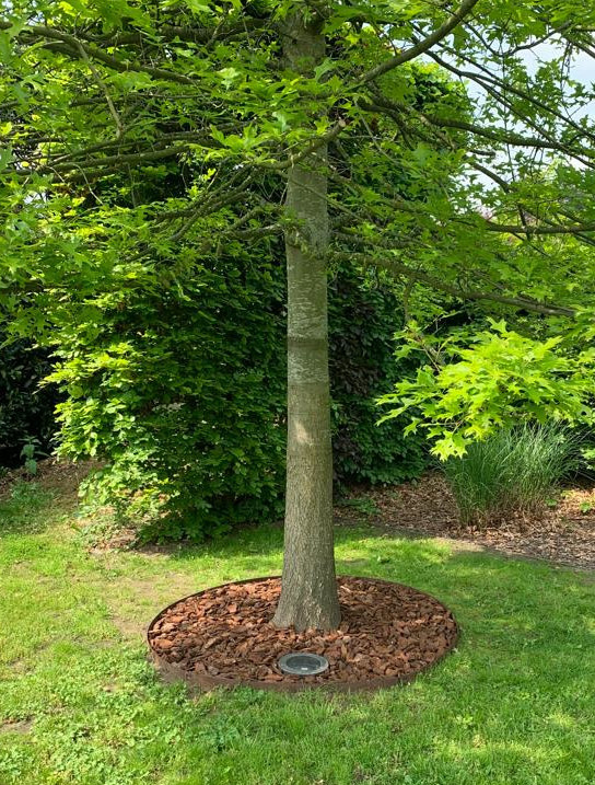Boomring cortenstaal 75 cm diameter, 20 cm hoog - kantopsluiting