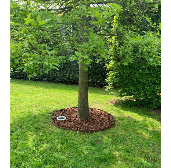 Boomring cortenstaal 50 cm diameter x 20 cm hoog, 1 mm dik