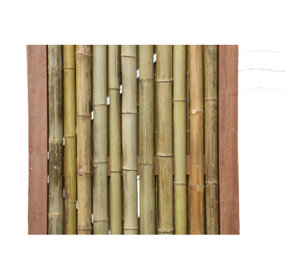 Bamboe tuindeur 100x180 cm op gegalvaniseerd stalen frame Giant