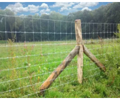Schapengaas thermisch verzinkt verschillende afmetingen