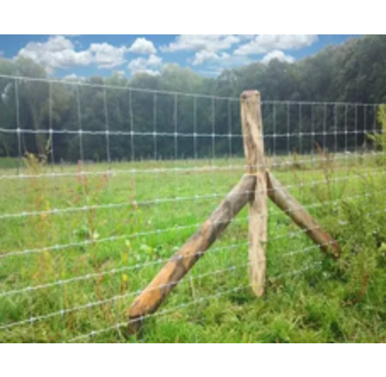 Schapengaas thermisch verzinkt