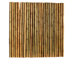 Bamboepalen scherm/schutting 180x180 cm - Naturel Extra