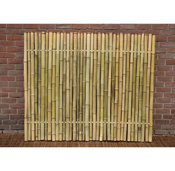 Bamboepalen scherm/schutting 180x180 cm - Naturel