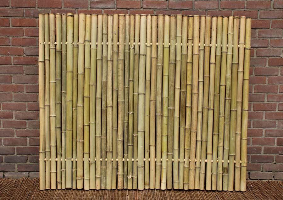 Bamboepalen scherm/schutting 180x180 cm - Naturel