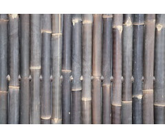 Bamboepalen scherm/schutting 180x180 cm - zwart extra