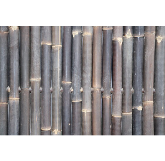 Bamboepalen scherm/schutting 180x180 cm - zwart extra