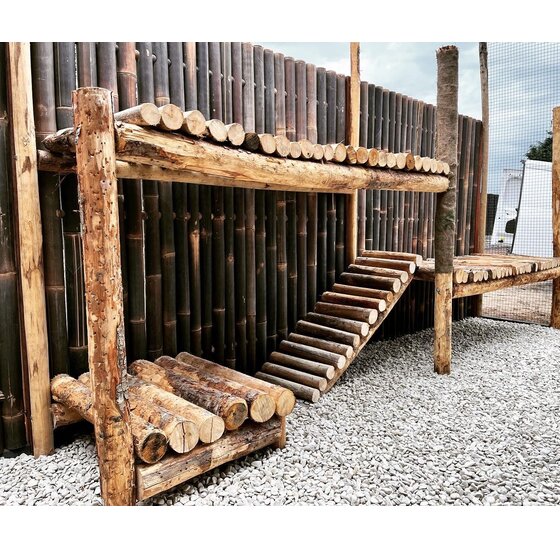 Bamboepalen scherm/schutting 180x180 cm - zwart extra