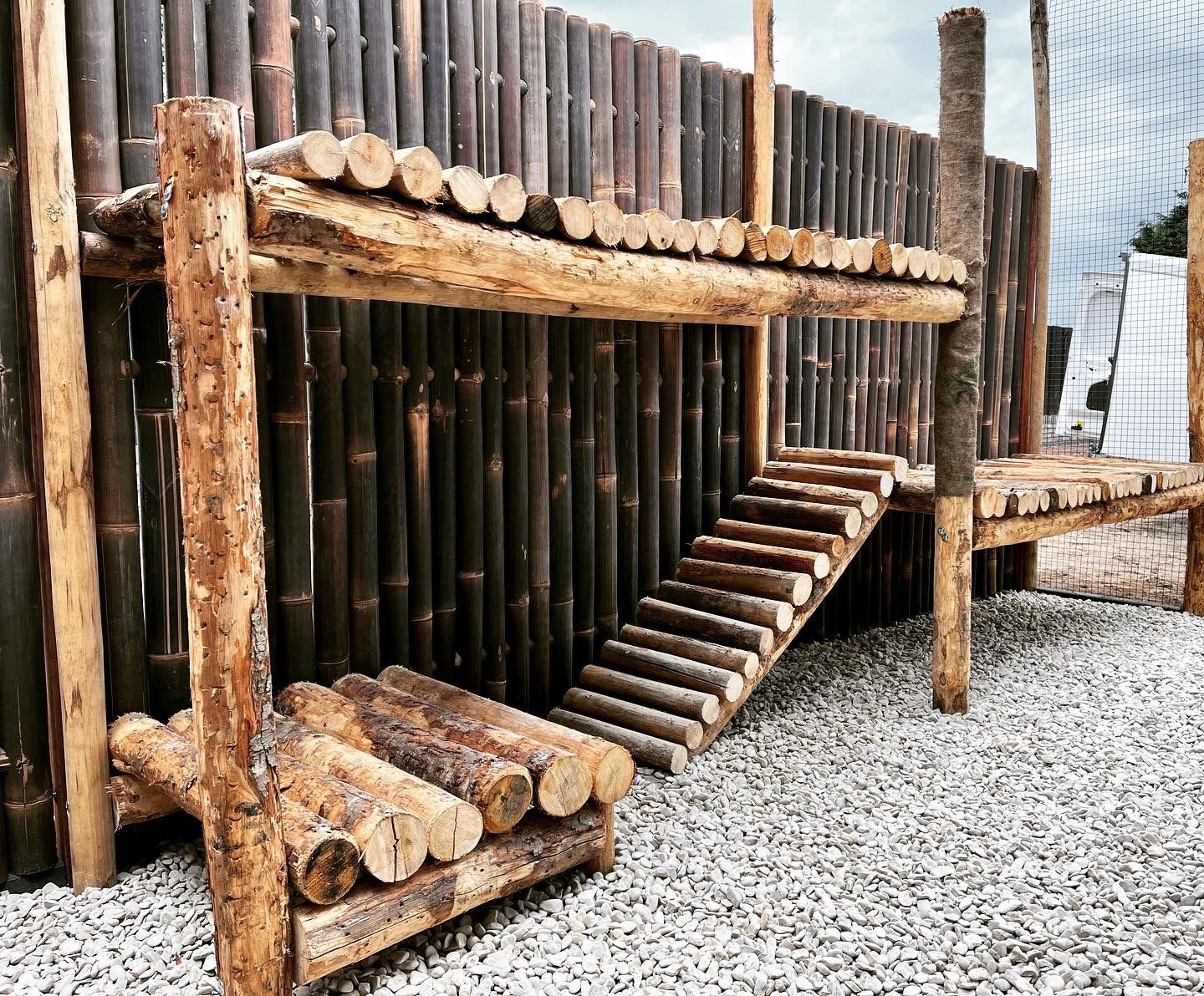 Bamboepalen scherm/schutting 180x180 cm - zwart extra