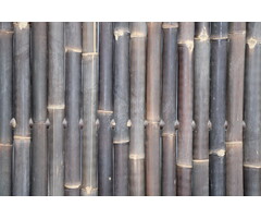 Bamboepalen scherm/schutting 180x180 cm - zwart standaard