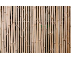 Bamboe schutting Naturel Houten Frame 180x180 cm