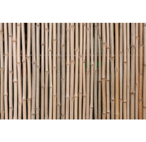 Bamboe schutting Naturel Houten Frame 180x180 cm