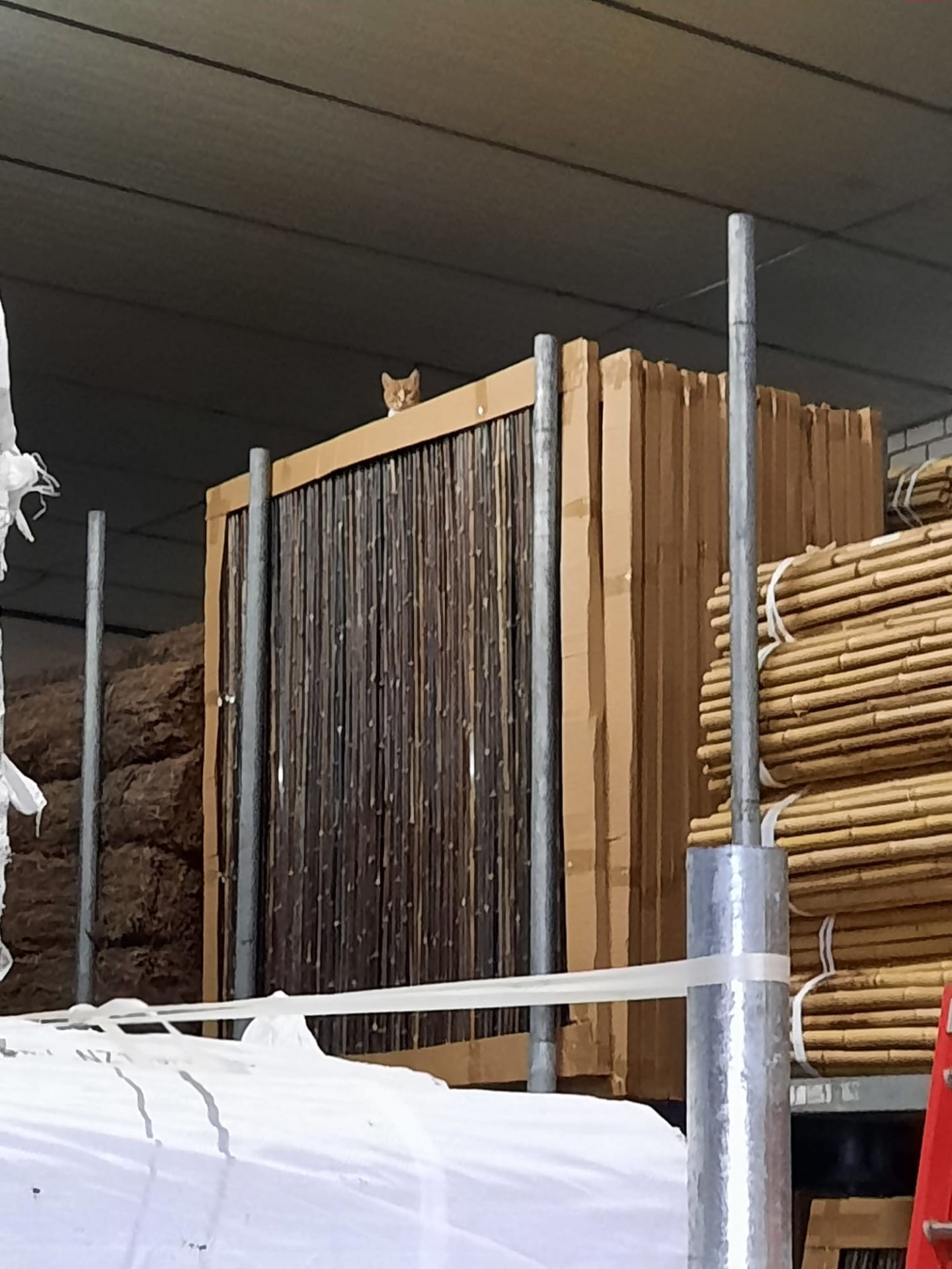 Bamboeschutting Donker Houten Frame 180X180