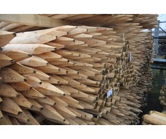 Geschild naaldhout palen verschillende maten