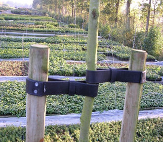 Boomband 1 meter voor hoogstam- en halfstambomen aan boompalen
