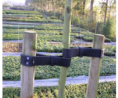 Rubberen boomband 25 meter - flexibel en weerbestendig