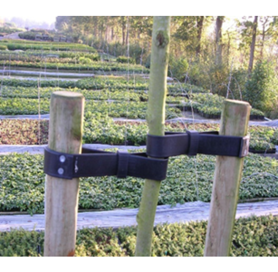 Rubberen boomband 25 meter - flexibel en weerbestendig
