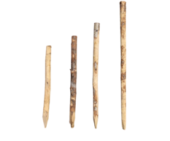 Kastanje palen verschillende maten