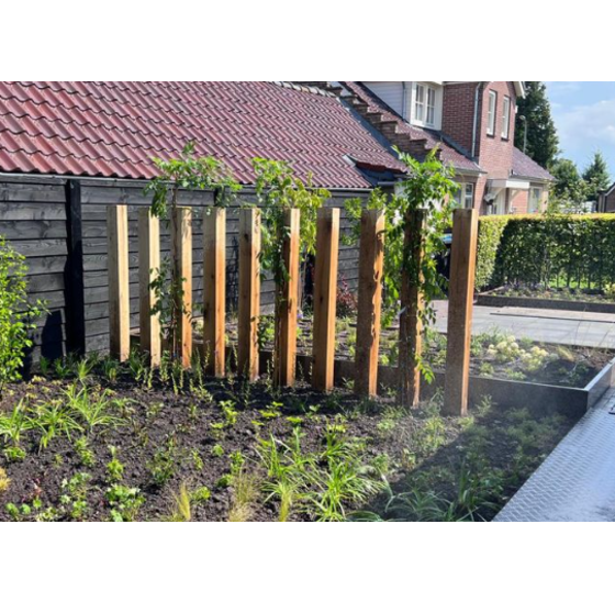 Eiken palen 10x10 cm onbehandeld fijnbezaagd – diverse lengtes