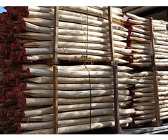 Robinia palen geschild verschillende maten