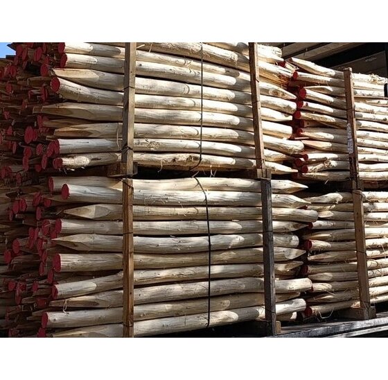 Robinia palen splintervrij