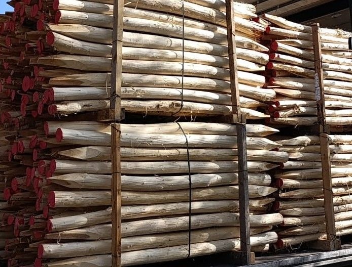 Robinia palen geschuurd spintvrij 25+ jaar levensduur