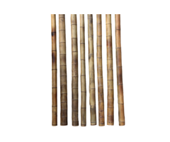 Bamboestok Gevlekt ø 10-12CM