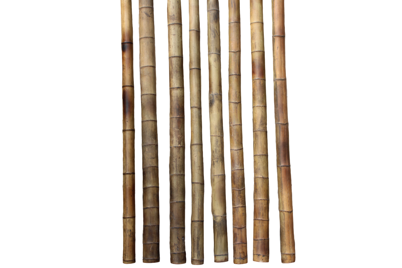 Bamboestok Gevlekt