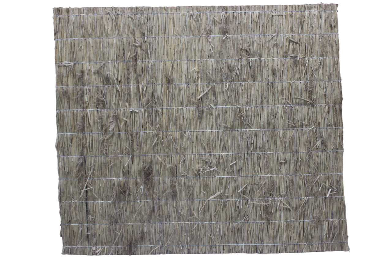 Rietplaat Aruba | Natuurlijke Privacy & Sfeer