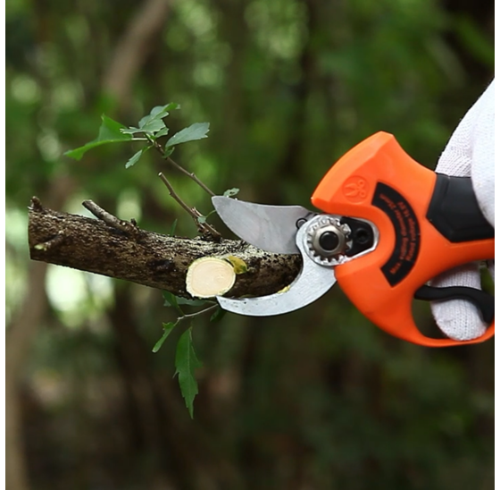 Kibani Accu Takkenschaar met extra accu